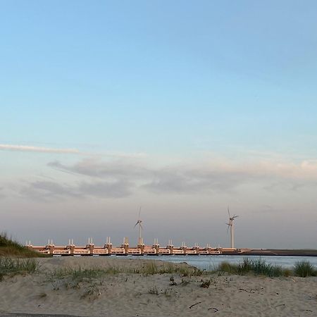 Apartmán Slapen Bie Wisse Kamperland Exteriér fotografie