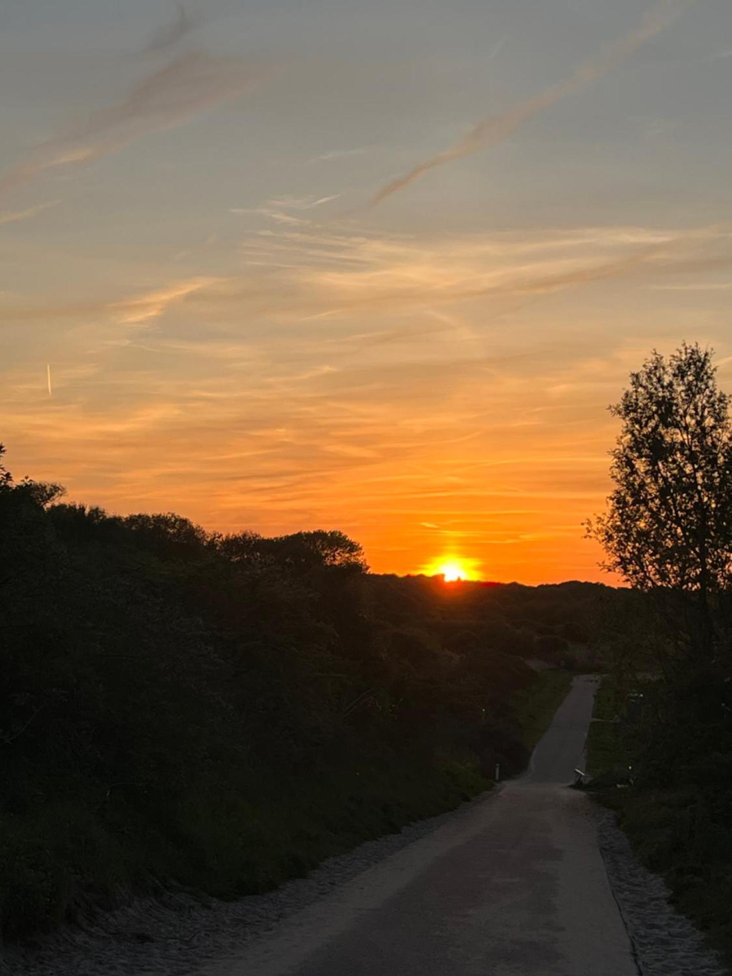 Apartmán Slapen Bie Wisse Kamperland Exteriér fotografie